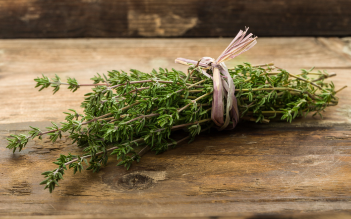 Thyme