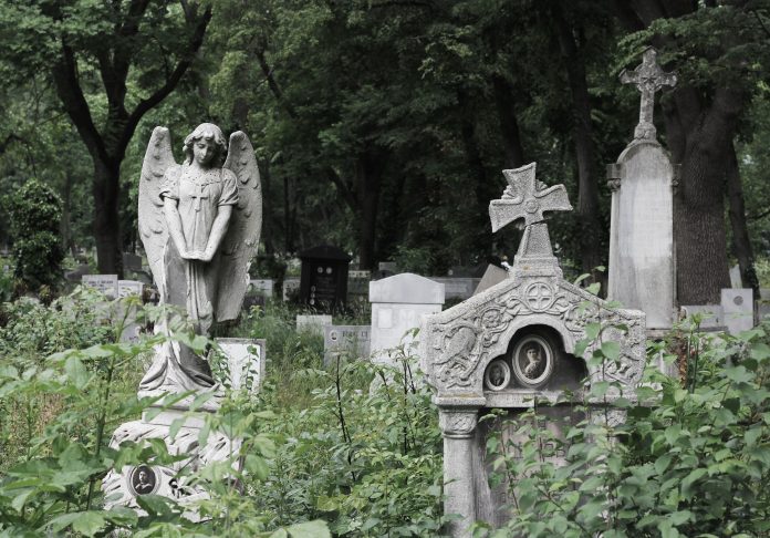 Mediums and the Connection to the Dead Mediums and the Connection to the Dead